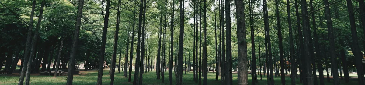 Nami Island