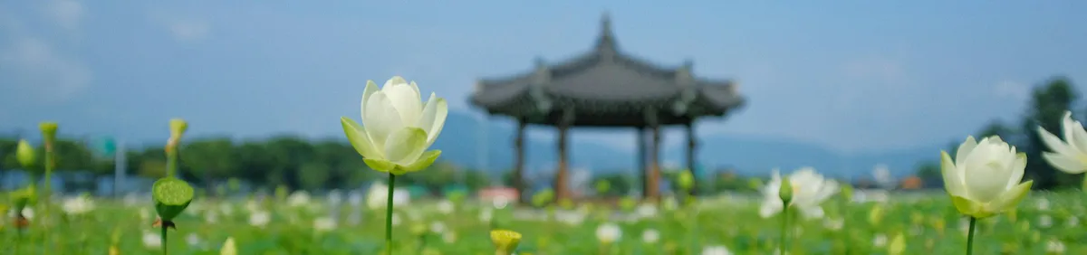 Deokjin